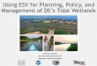 Using ESV for Planning, Policy, and Management of DE’s ...€¦ · Wildlife Condition 70% 35.5 2.37(per percentage) Water Quality Related to 50% Water Quality 60% 32.4 3.24(per
