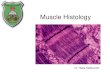 Doctor 2017 - JU Medicine - Muscle HistologyTypes of Muscle Tissue Skeletal •Attach to and move skeleton •40% of body weight •Fibers = multinucleate cells (embryonic cells fuse)