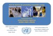 Presentation by United Nations Agencies (UNDP, UNEP, UNIDO) · In many developing countries, decentralized grids based on RE and the inclusion of RE in centralized energy grids have