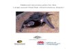 National recovery plan for the large-eared pied bat ...National recovery plan for the large-eared pied bat Chalinolobus dwyeri. Report to the Department of Sustainability, Environment,