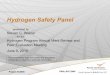 Hydrogen Safety Panel€¦ · Overview Timeline •First Panel meeting: December 11, 2003 •Continuing Budget •FY09 = $850K •FY10 = $750K Barriers addressed 1 E. Variation in