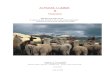 ALPACAS and LLAMAS complete...South American camelids (llamas, alpacas and guanaco) are kept for both commercial and personal purposes, and in a variety of different systems. Whether