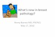 What’s new in breast pathology? · Human Pathology 2013;44:1341-1349. • Cimino-Mathews A, Sharma R, Illei PB et al. A subset of malignant phyllodes tumors express p63 and p40: