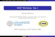VASP Workshop: Day 1 · Marsman VASP Workshop: Day 1. Basics PAW Hybrids NewDF Optimization HF-PAW 1 PBCs, k-points, plane waves, DFT 2 Projector Augmented Wave method 3 Hybrid functionals