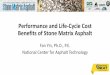 Performance and Life-Cycle Cost Benefits of Stone Matrix Asphalt · 2018. 11. 26. · Performance Analysis Life-cycle Cost Analysis. Market Analysis •Survey of state asphalt pavement