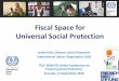 Fiscal Space for Universal Social Protection · reforms, health reforms ... • Social security contributions also encourage formalization of the informal economy. ... • Debt interest