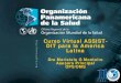 Curso Virtual ASSIST- DIT para la America Latina · 2012. 10. 17. · DESARROLLO DEL CURSO VIRTUAL • Planificación global de la Fase IV del proyecto ASSIST-DIT de la OMS • Interés