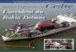 Bulletin du Cedre n°24wwz.cedre.fr/content/download/655/5569/file/bull24.pdf · 2014. 4. 8. · do SS ier 4•BULLETIN D’INFORMATION DU CEDRE N° 24 L’accident du porte-conteneurs