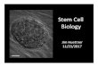 Stem Cell Biology 2017 - Washington University in St. Louis · developmental potential of iPSCs is greatly influenced by reprogramming factor selection. Cell Stem Cell. 15:295-309