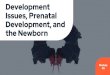 Development Issues, Prenatal Development, and the Newbornrhsappsychology.weebly.com/.../module_45_-_prenatal_development.… · Issues, Prenatal Development, and the Newborn Module