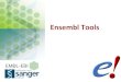 Ensembl Tools - European Bioinformatics Institute · Annotation by Ensembl in collaboration with the scientific communities ... will mess up my RT-PCR results ... IM CM AL BL BL102