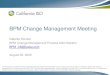 BPM Change Management ... BPM Change Management Meeting Isabella Nicosia BPM Change Management Process