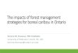 The impacts of forest management strategies for boreal ...€¦ · Species at Risk Stewardship Fund Donovan, V. M., Brown, G. S., & Mallory, F. F. (2017). The impacts of forest management