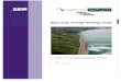 Ngauranga Triangle Strategy Study - NZ Transport Agency · 2010. 8. 5. · Ngauranga Triangle Strategy Study Short List Options Assessment Report Appendix E Visual impact of the Petone-Grenada