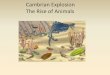 Cambrian Explosion The Rise of Animals 20... · 2014. 8. 1. · Early Animals and the Cambrian Explosion –Animals probably evolved from a colonial flagellated protist that lived