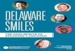 DELAWARE SMILES - Fluoride Action Networkfluoridealert.org/wp-content/uploads/de-2013-b.pdf · 2016. 10. 4. · Delaware Health and Social Services. Division of Public Health Bureau