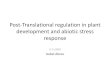 Post-Translational regulation in plant development and abiotic …saibo/ADONIS/talks/IsabelAbreu... · 2009. 4. 3. · Post-Translational protein modifications (PTMs) •PTMs result