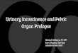 Urinary Incontinence and Pelvic Organ Prolapse€¦ · Urinary Incontinence and Pelvic Organ Prolapse Rebekah Wolinetz, PT, DPT React Physical Therapy Lakeshore East clinic. ... (combination
