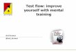 Test flow: improve yourself with mental trainingsofttest.ie/wp...softtest_Testflow_Ard-Kramer.pdf · Good preparation Actor The intended user of the system Purpose The theme of the