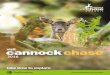 take time to explore - Cannock Chase District · 2016 leaflet. For up to date info, please see our Facebook page. Free Admission, Gift Shop, Coffee Shop, Cannock Chase Tourist Information