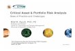Critical Asset & Portfolio Risk Analysis · Critical Asset & Portfolio Risk Analysis State of Practice and Challenges The Infrastructure Security Partnership (TISP) Congress Crystal