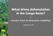 What drives deforestation in the Congo Basin? · Objectives What was the objective?-Immediate: provide an in-depth analysis of the major drivers of deforestation and forest degradation