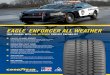 A VERSATILE POLICE TIRE OFFERING YEAR-ROUND A VERSATILE POLICE TIRE OFFERING YEAR-ROUND PERFORMANCE