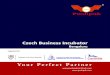 Czech Business Incubatorpushpakczechhub.com/.../10/PUSHPAK-Czech-Business... · the Czech Republic to establish business and to explore the business opportunities in India. Why India