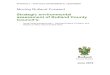 Strategic environmental Council’s: APPENDIX G – STRATEGIC ... · APPENDIX G – STRATEGIC ENVIRONMENTAL ASSESSMENT Moving Rutland Forward Strategic environmental assessment of