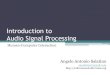 Introduction to Audio Signal Processinginfernusweb.altervista.org/wp/download/HMI/Lecture_On_Audio.pdf · read, listen, manipulate and save audio files. •It also contains Signal