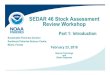SEDAR 46 Stock Assessment Review Workshopsedarweb.org/docs/wpres/S46 RW AW_Section_Presentation_Intro.pdf · SEDAR assessment history in the US Caribbean Assessment Year Species Method