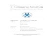 Master Thesis E-Commerce Adoption - DiVA portal445383/FULLTEXT01.pdf · Master Thesis E-Commerce Adoption A Comparative Study of Sweden and Pakistan ISRN Number LIU-IEI-FIL-A--11-01020--SE