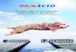 Folleto Bravecto veterinario€¦ · Title: Folleto Bravecto veterinario Created Date: 8/4/2015 11:08:05 AM