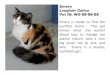 Emery is ready to find the purrfect home. This girl knows what she …members.petfinder.com/~LA69/PetFestCats.pdf · 2010. 11. 12. · Ella Calico Pet ID: EO-06-28-09 Ella is a sweet,