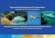 RegulatedandProtected Speciesin U.S.CaribbeanWaters · RegulatedandProtected Speciesin U.S.CaribbeanWaters INVERTEBRATES • FISH • SEATURTLES • MARINE MAMMALS Especies Reguladas