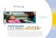 Pica...Pica A Guide for Parents These materials are the product of on-going activities of the Autism Speaks Autism Treatment Network, a funded program of Autism Speaks. It is supported