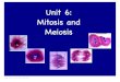 Unit 6: Mitosis and Meiosisfranczyk.yolasite.com/resources/Unit 6 Notes.pdf · Unit 6: Mitosis and Meiosis. Title: Dec 2-7:57 PM (2 of 29) 9.1 Sexual and Asexual Reproduction. Title: