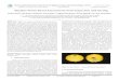 Machine Vision Based Autonomous Fruit Inspection …Kedar Patil1, Shriniwas Kadam2, Suraj Kale3, Yogesh Rachetti4, Kiran Jagtap5, Dr. K.H. Inamdar6 ... and development of a low cost