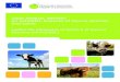 2008 ANNUAL REPORT on notifiable diseases of …EUROPEAN COMMISSION 2008 ANNUAL REPORT on notifiable diseases of bovine animals and swine (within the framework of Article 8 of Council