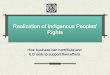 Realization of Indigenous Peoples' Rights · the company’s activities and abuse connected to activities. The corporate response to managing the risks of infringing the rights of
