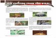 FUN QUIZ new friends from the wildnopr.niscair.res.in/bitstream/123456789/42121/1/SR 54(6... · 2017. 6. 6. · 60 SCIENCE REPORTER June 2017 new friends from the wild MAYANGLAMBAM