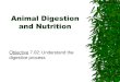 Animal Digestion and Nutrition · Poultry Digestive System Poultry have monogastric digestive systems as well. 