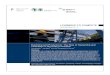 Exporting and Productivity: The Role of Ownership and Innovation in the Case of Vietnam · 2016. 7. 21. · Innovation in the Case of Vietnam Carol Newman, 1 ... to WTO accession