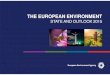 THE EUROPEAN ENVIRONMENT - Transición …...Source: EEA. SOER 2015 Synthesis report. Water quality and nutrient loading Air pollution and its ecosystem impacts Marine and coastal