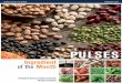 Ingredient of the Month · Fun Facts • Pulses naturally enrich soil health by pulling nitrogen from the air into the soil, providing their own nitrogen fertilizer and leaving behind