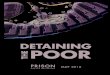 ABOUT THE AUTHORSfor their inability to meet bail, the authors recognize the scarcity of useful information about the jail populations in this country, so they also provide the pre-incarceration