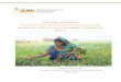 Filling the Gap: Innovative and interactive ways to ... 1 - Bihar … · FILLING THE GAP: INNOVATIVE AND INTERACTIVE WAYS TO INCREASE THE SAVINGS OF RURAL WOMEN IN INDIA IFMR Research