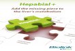 Add the missing piece to the liver’s metabolismstimulant factors Hepabial+ = The liver Hepabial+ Hepabial+ TRIAL N 1 TRIAL N 2 PROTOCOL PROTOCOL RESULTS RESULTS CONCLUSION CONCLUSION