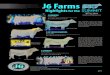 J6 Farms - Limousin365 · J6 Farms OCT 6, 2019 hosted on L365Auctions.com Highlights for the These conventional embryos have everyone talking. Sired by the 2019 Reserve Supreme 