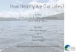 How Healthy Are Our Lakes? · 7/22/2020  · Working for Clean & Healthy Lakes Webinar Series. July 22, 2020 @ 7:00 p.m. Dave Neils. Chief Aquatic Biologist & Kirsten Nelson. Aquatic